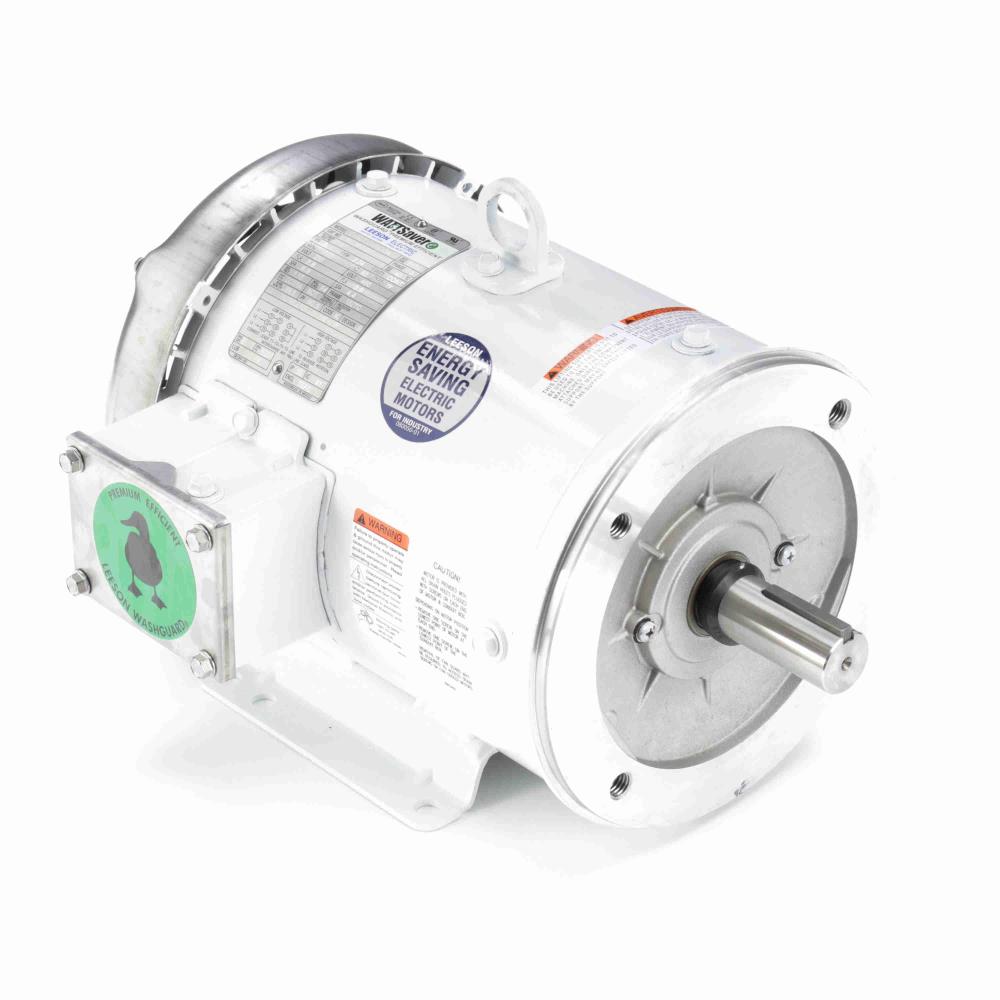 LEESON 132198.00 White Epoxy Washdown Motor - cemotors