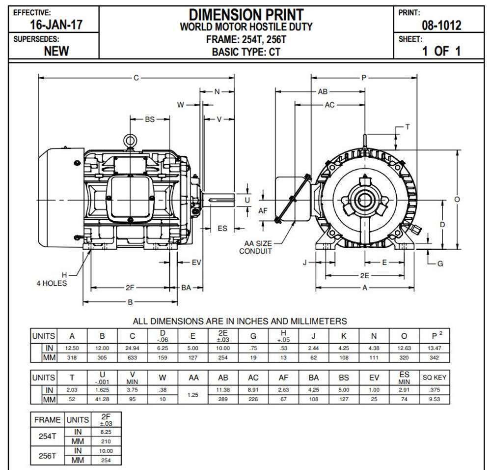 00509EP3E254 T Replacement Motor - cemotors